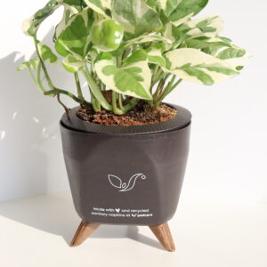 Plant Pot