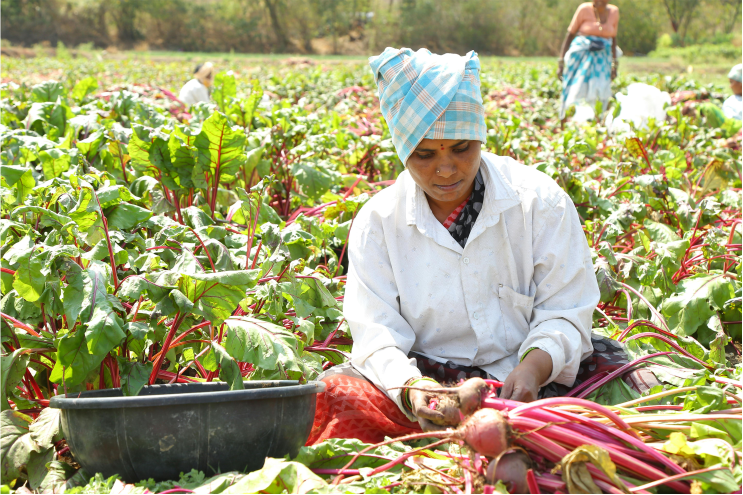 Livelihood Support